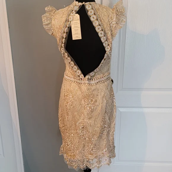 New - Southern Fried Chics Cocktail Dress with beautiful sparkle - Picture 4 of 12